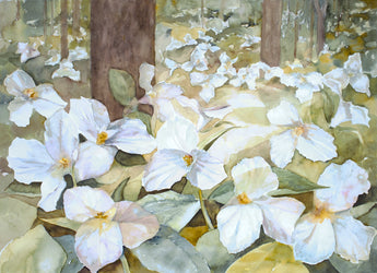 Trillium Sanctuary Giclee
