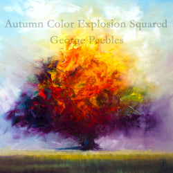 Autumn Color Explosion Squared Giclee