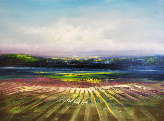 Lavender Fields Oil Painting
