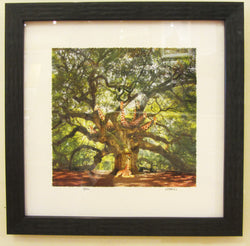 Giraffe Tree Framed Giclee