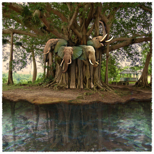 Island of Lost Elephants Framed Giclee