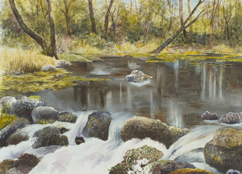 Fall Along Au Sable Giclee