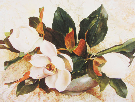 Magnolia And Lace Giclee