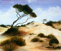 St. Georges Island Dune Giclee
