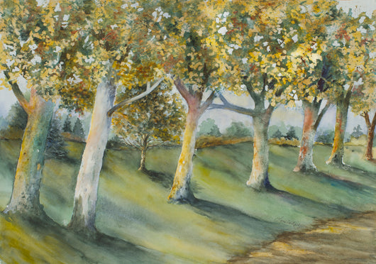 Sycamore Lane Watercolor Painting
