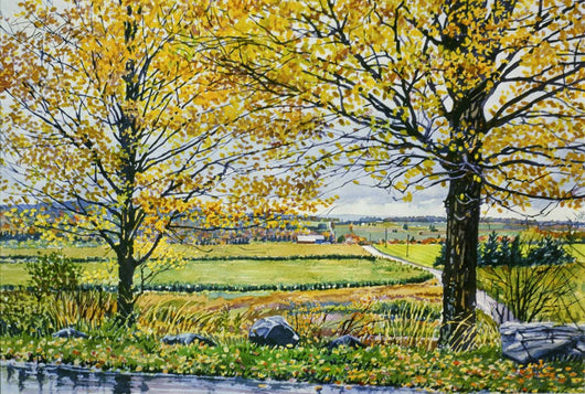 Autumn Maples In Petosky Giclee
