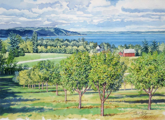 Traverse Bay Cherry Orchard Giclee