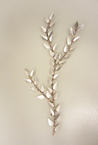 Silver Beech Leaves Branch