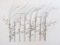 Silver Grass with Silver Leaves No Seed Buds