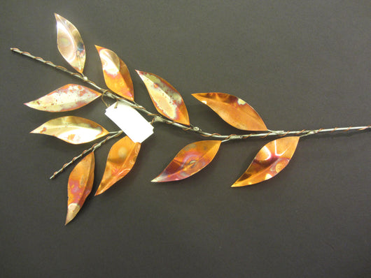 Slender Copper Leaf Stem Medium